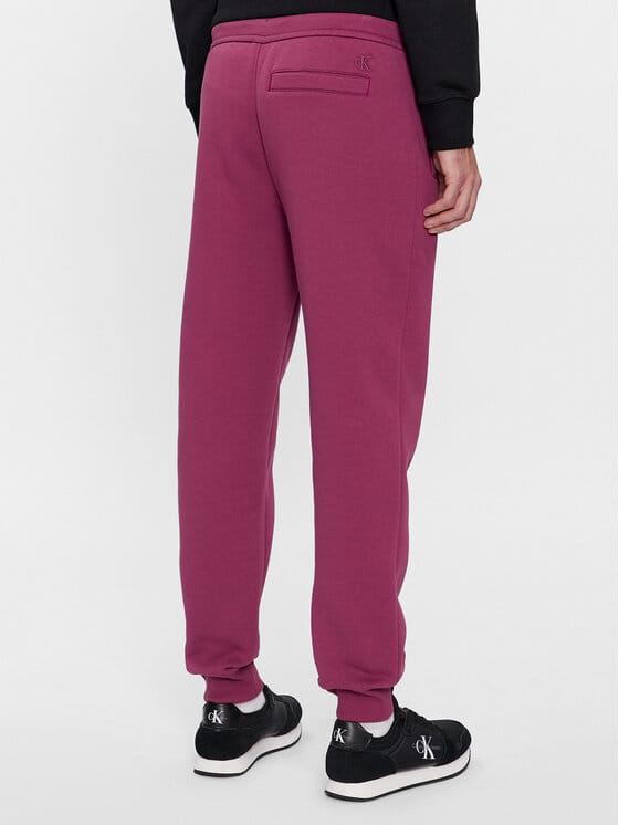 CALVIN KLEIN JEANS Pantaloni de trening J30J324053 Violet