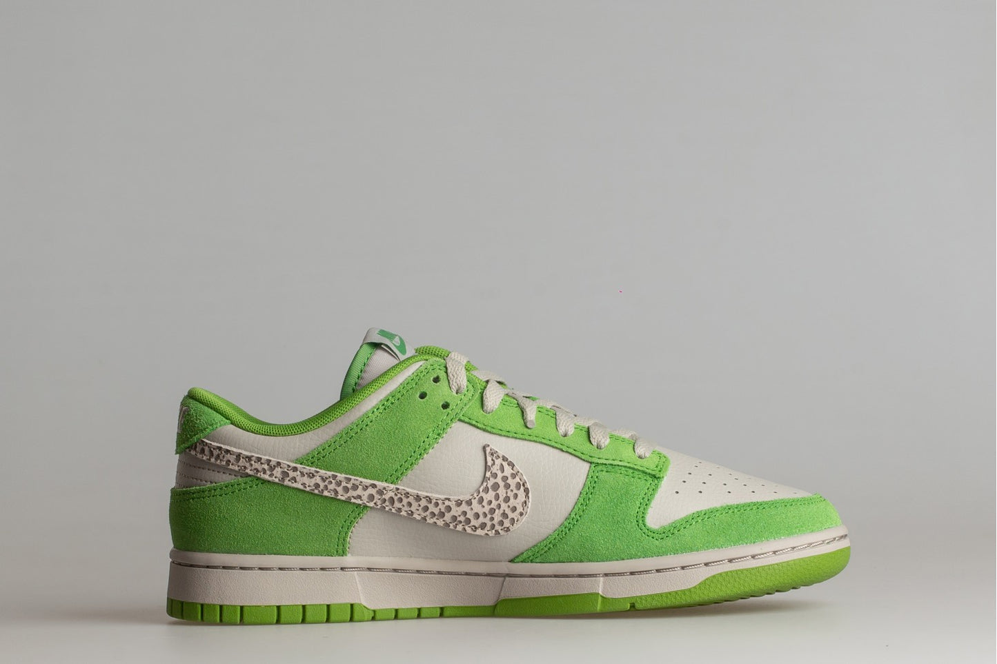 NIKE DUNK LOW DR0156-300 Green