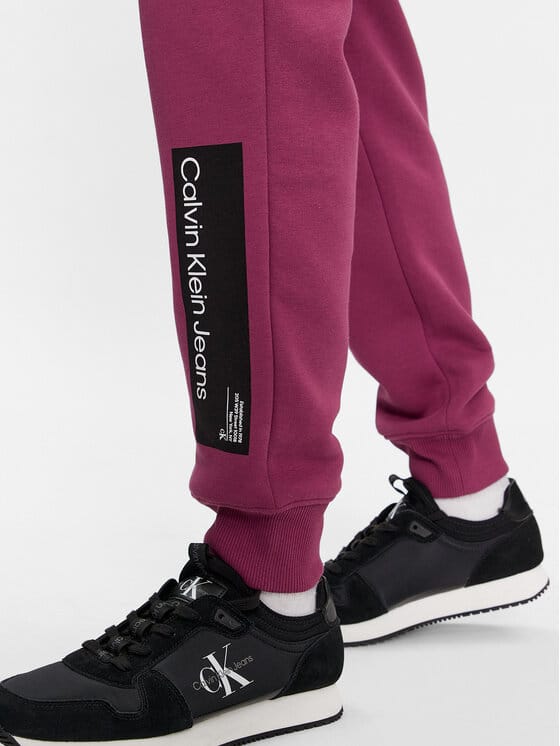 CALVIN KLEIN JEANS Pantaloni de trening J30J324053 Violet